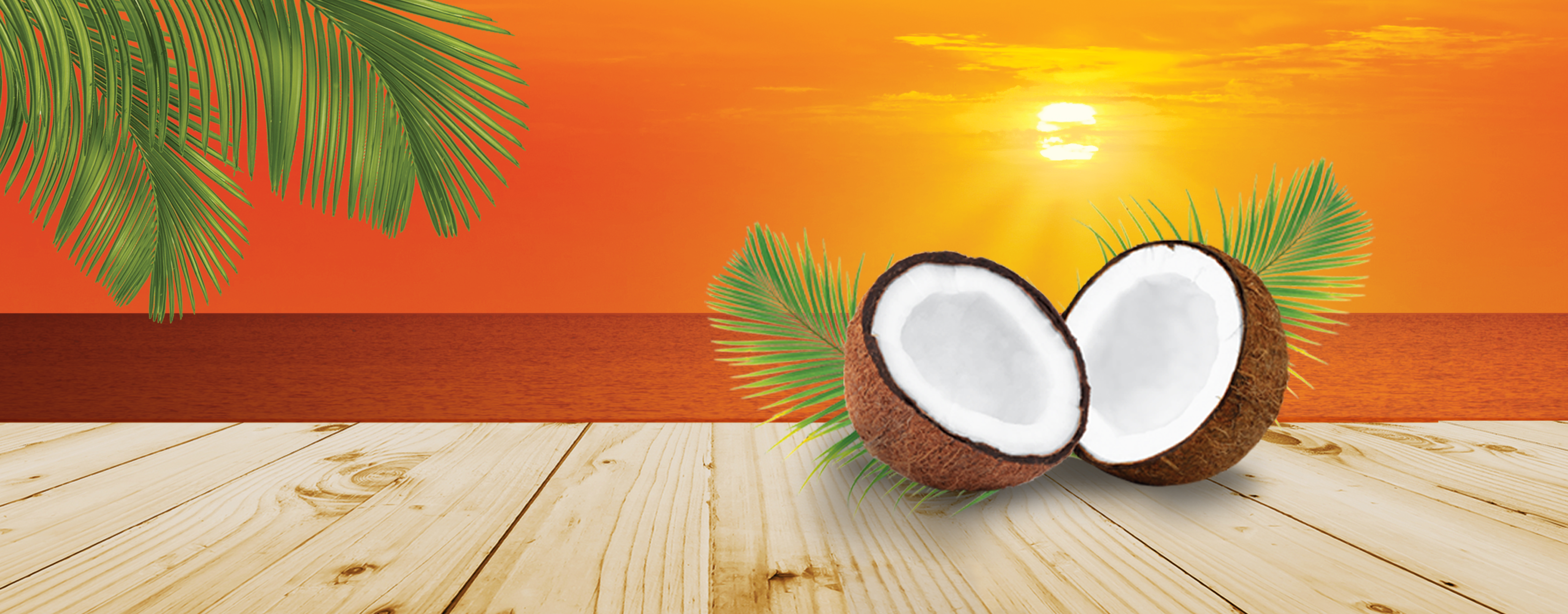 coconuts and sunset-like scene