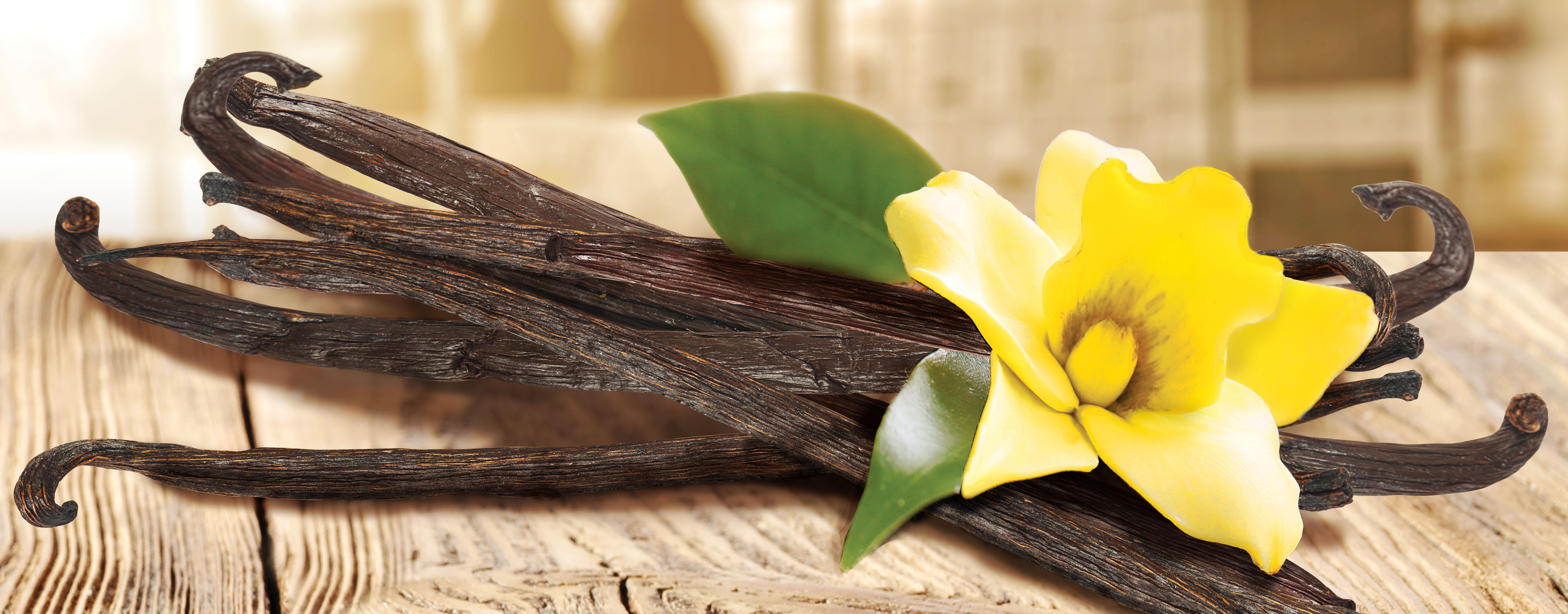 vanilla flower and stems on table