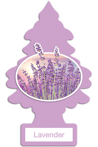 Lavender Little Tree
