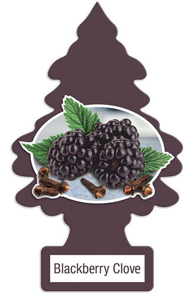 Blackberry Clove Little Tree