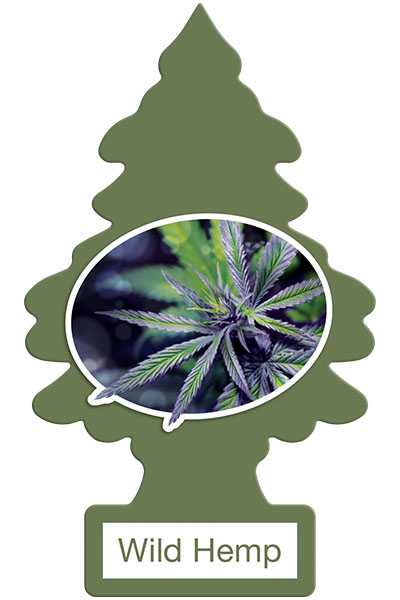 Wild Hemp Tree