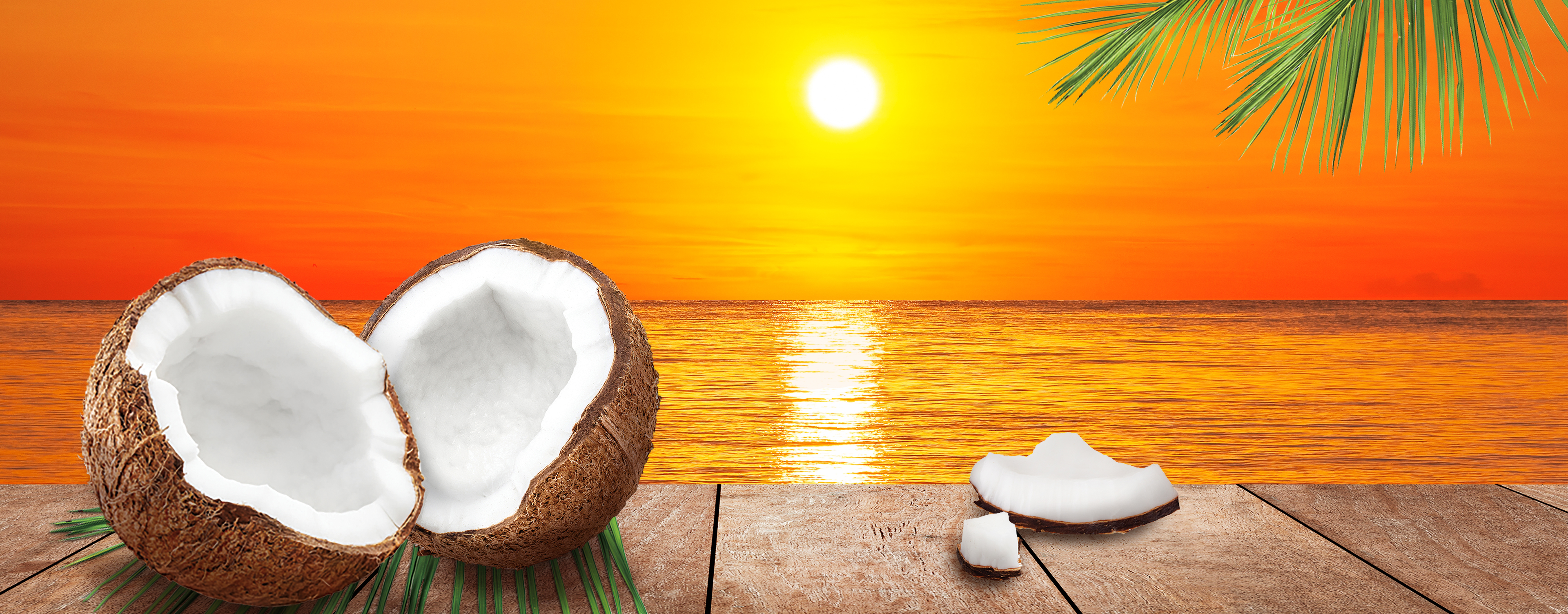 Coconut