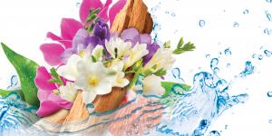 Airwash_Orginal_Scent
