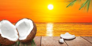 Coconut