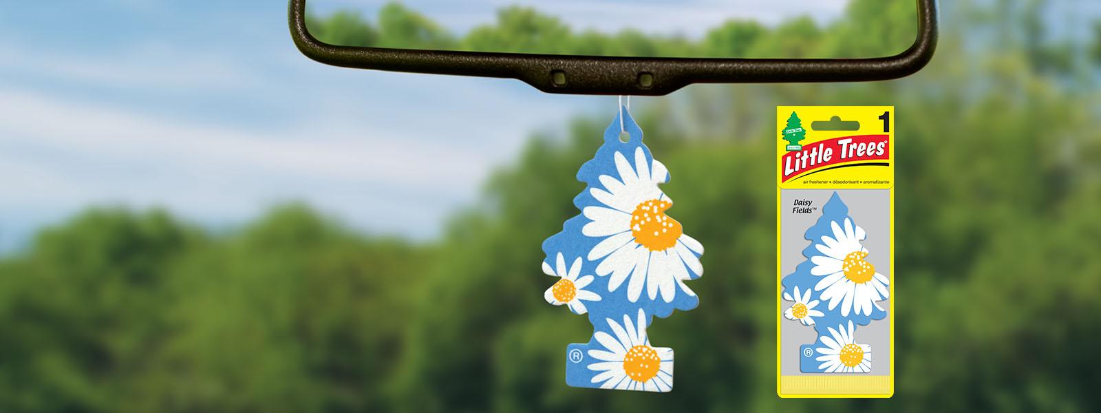 Little Trees The Original Car Air Fresheners