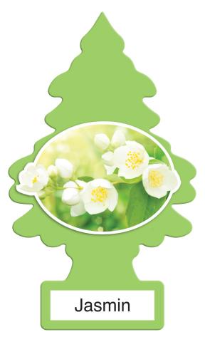 Jasmin Little Tree