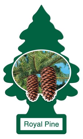 Royal Pine Little Tree