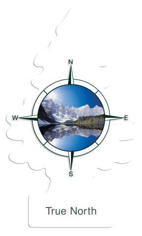True North Little Tree