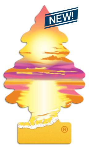 Sunset Beach Little Tree
