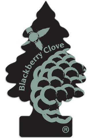 Blackberry Clove Little Tree