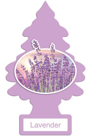 Lavender Tree